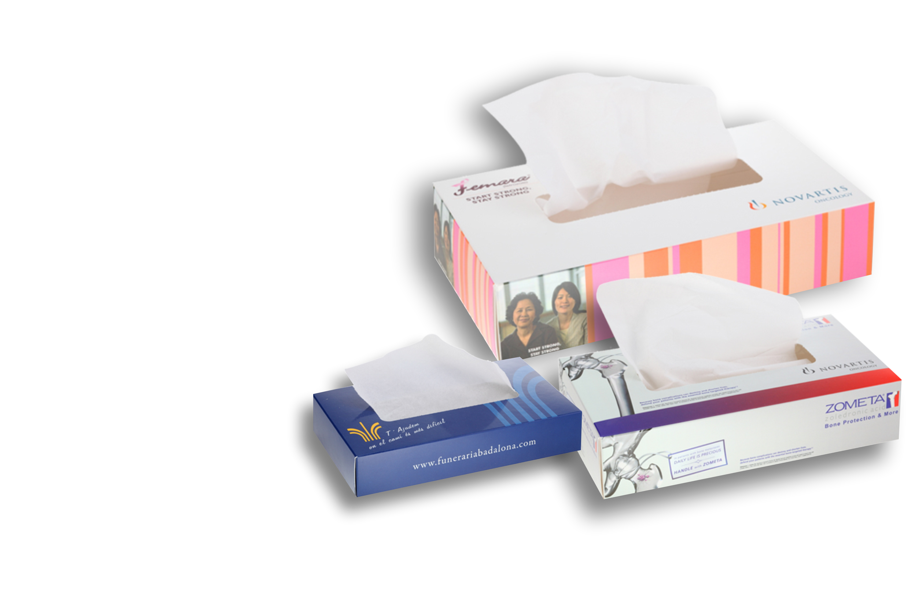 Product Showcase Image