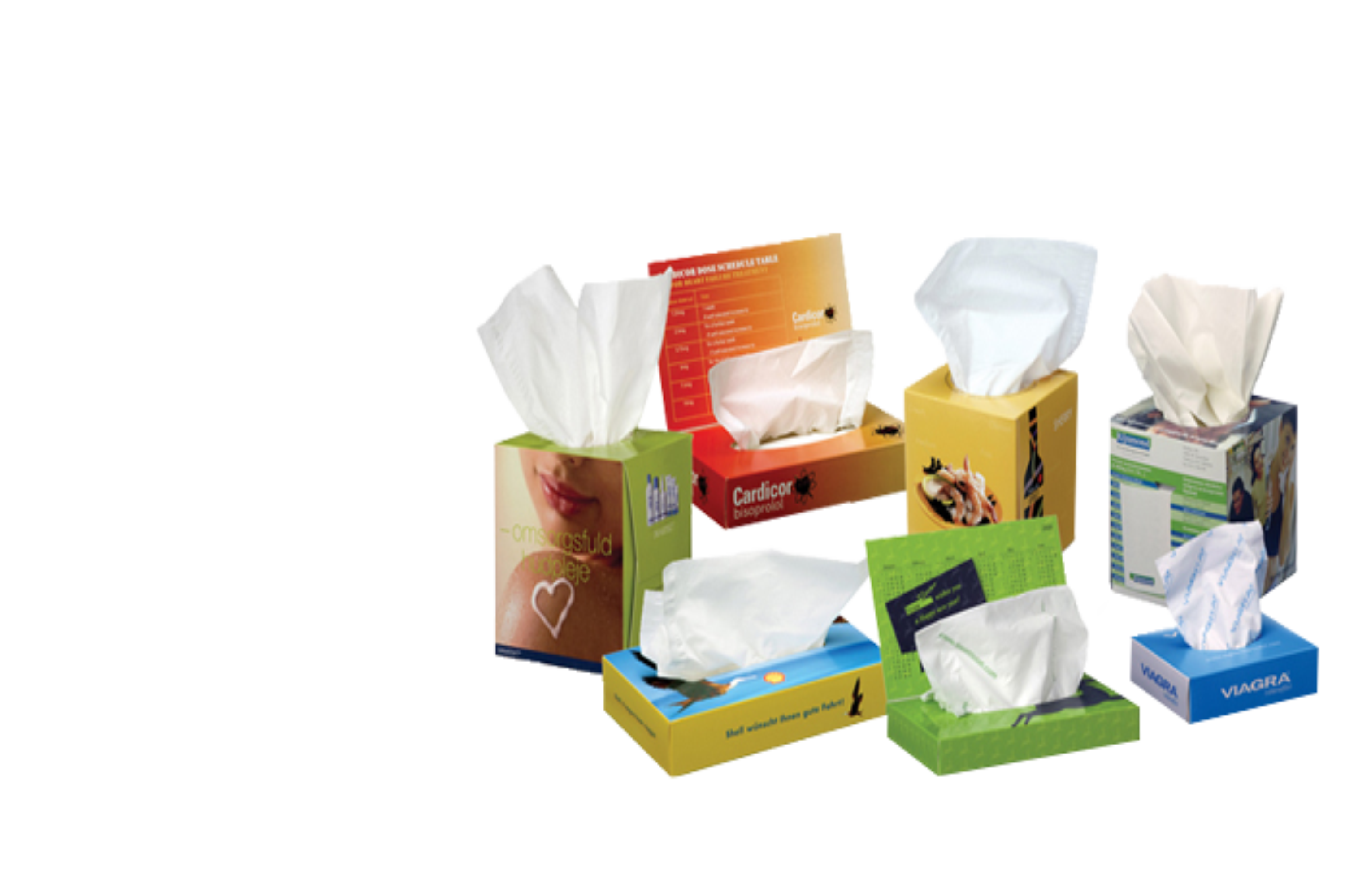 Product Showcase Image